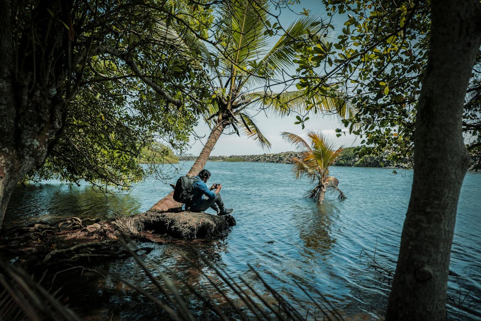 A man photographing nature on a serene lake with lush greenery and palm trees in Kerala, India.