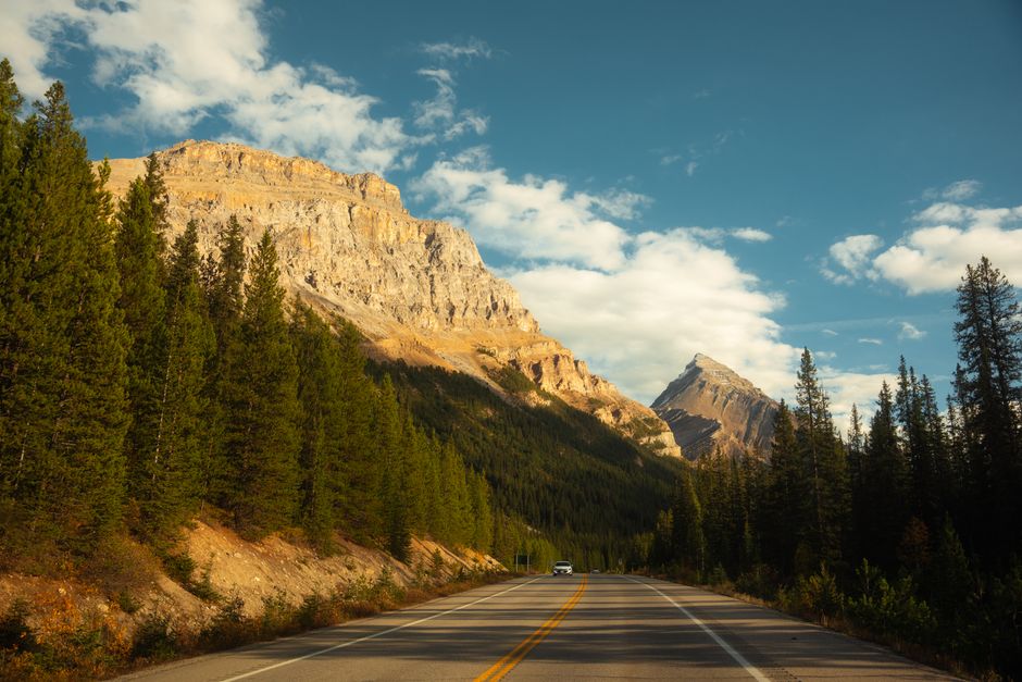 A picturesque road winds through lush forests with stunning mountain vistas under a bright blue sky.