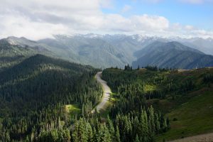 National Parks Road Trip With Young Kids: The 2026 Reality Check