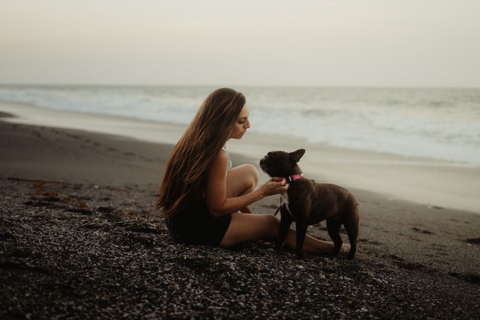 A serene moment of a woman with her dog on a quiet beach during sunset.