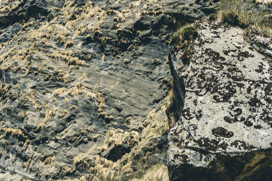 Detailed view of rocky terrain with vegetation in Annapurna, Koshi Province, Nepal.