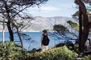 Solo Travel Mistakes New Zealand: Solo in New Zealand: The 8 Mistakes That Drain Your Money and Safety Margin