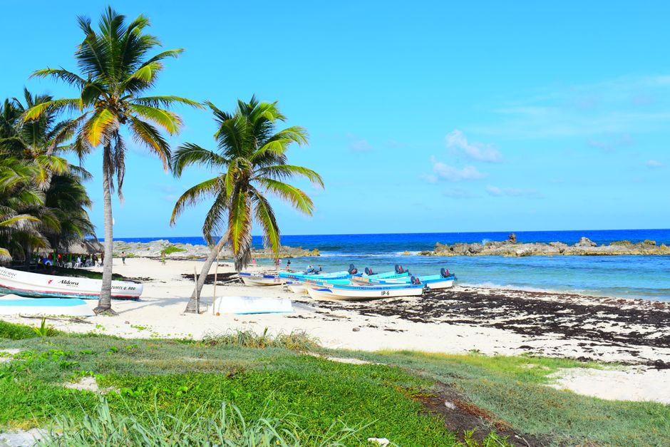 A beautiful tropical beach scene with palm trees, boats, and clear ocean water, perfect for a tranquil getaway.